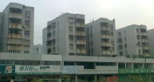 万春园3室2厅东南西南