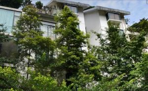 春语花间 4室2厅 东南 西北