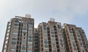 橙堡1室1厅西南