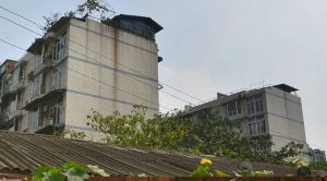 新绿苑3室1厅南