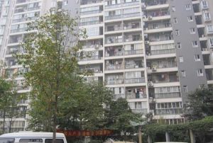 林荫嘉园2室1厅南