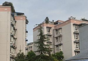 佳美花园 2室1厅 南