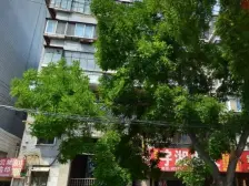 西站吴家园一毛厂家属院两居室43.06m2 产权房可按揭