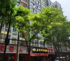 西站十字春天佳苑,户型方正,,