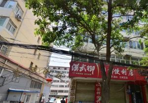 西站电梯房精装修中间楼层通透户型可按揭