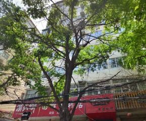 荣华小区2室2厅南北