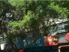 视野宽阔,采光充足,交通便利,地铁口旁边