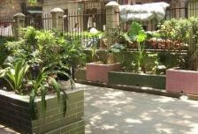 濠畔商厦 1房 44 方