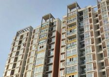 空港新天地 1室2厅 东