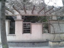 东方新城一期 4室2厅 东南