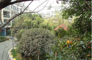 金沙园一期 4室2厅 东南