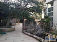 顺峰山公园旁 可重建临湖独立别墅 使用面积多