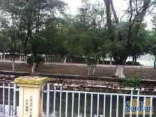 企业老总专享!湖景独栋占地大靠顺峰山公园依山傍水