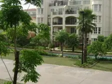 环境优美 采光充足 视野开阔 适合宜居户型 独栋大别墅