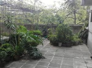 中华广场旁,东南靓向,采光通风,双阳台,