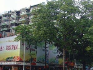 独栋私房,精装修,即入住都可以。