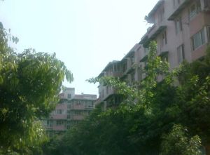 怡欣苑(金牛)3室2厅东北