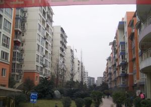 四季香榭 3室2厅 西北