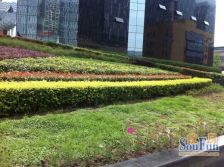 中航国际交流中心 1室0厅 北