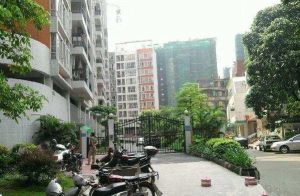 东南靓向 望佛大泳池 网球场 视野开阔 享无尽风景