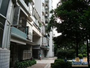 交通大楼2室2厅南西北
