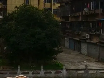 江南路小区