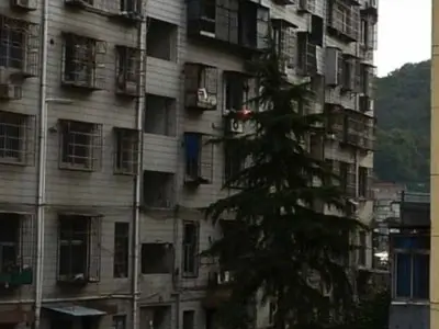 江南路小区