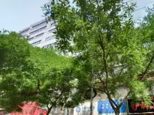 广武门秦安路一室一厅低楼层出行方便