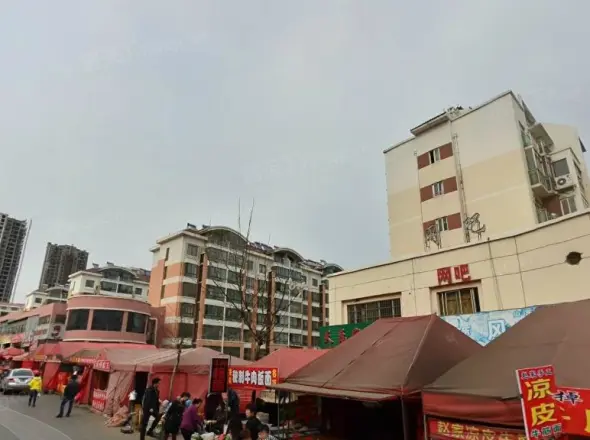 家和花园