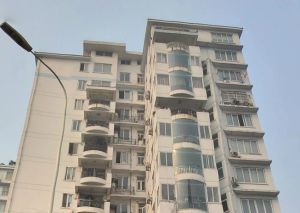 凤凰栖4室4厅东南