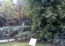 静居嘉苑 2室1厅 东