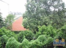 包家巷99号 3室1厅 南