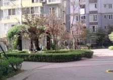 东辰瑞景(成华)3室2厅南