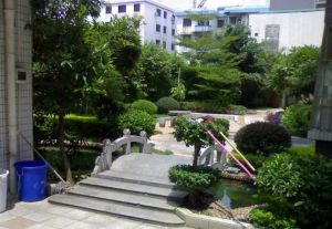 晋源大厦 电动车 摩托车可开上三楼平台,近菜市场