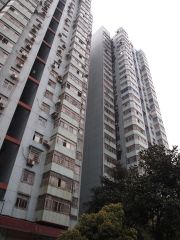 袁家岭 铁路单位房分摊少 交通便利 成熟小区 配套完善