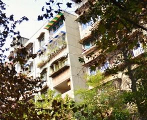 川大华西新村十四宿舍1室1厅东南