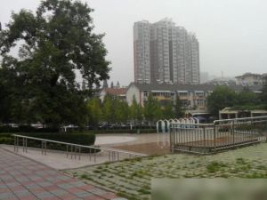 安庆路282号3室1厅南