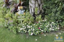 公园旁的公元里,小区环境好,出行便利,居住舒适。