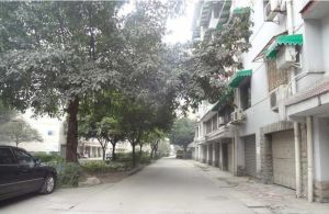 中央花园三期4室2厅南