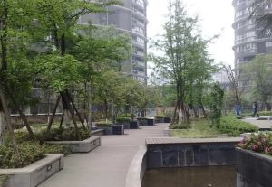 布鲁汀3室2厅西南