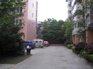 向阳茗苑1室1厅南