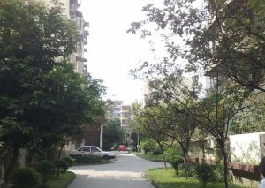 棕南西街1号2室1厅南