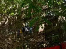 东方红广场中间楼层 精装修两室一厅南北通透