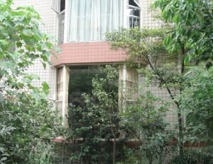 华丽花园 3室2厅 东 东南