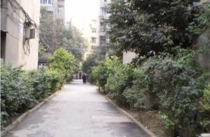 营和街66号 2室1厅 东南