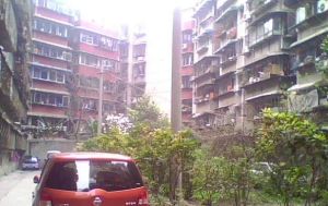 营和街66号3室1厅东南