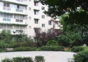 阳光花园(天府新区)2室1厅东南