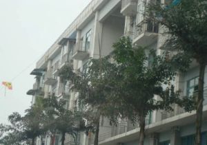 丛林背景 2室1厅 东南