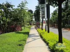 三方两厅设计,南向采光好,中间楼层!