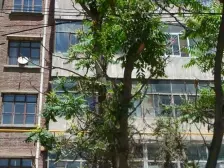 临洮街水电四局 两室一厅 南北通透 户型方正公摊小